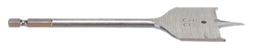Remove-bg.ai_1750684816336