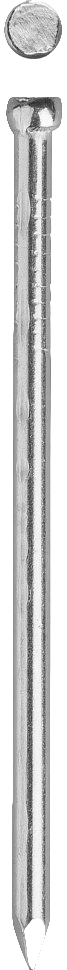 538030_970-no-bg-preview (carve.photos)