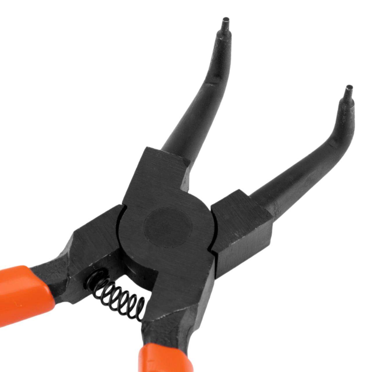 Remove-bg.ai_1749206327861