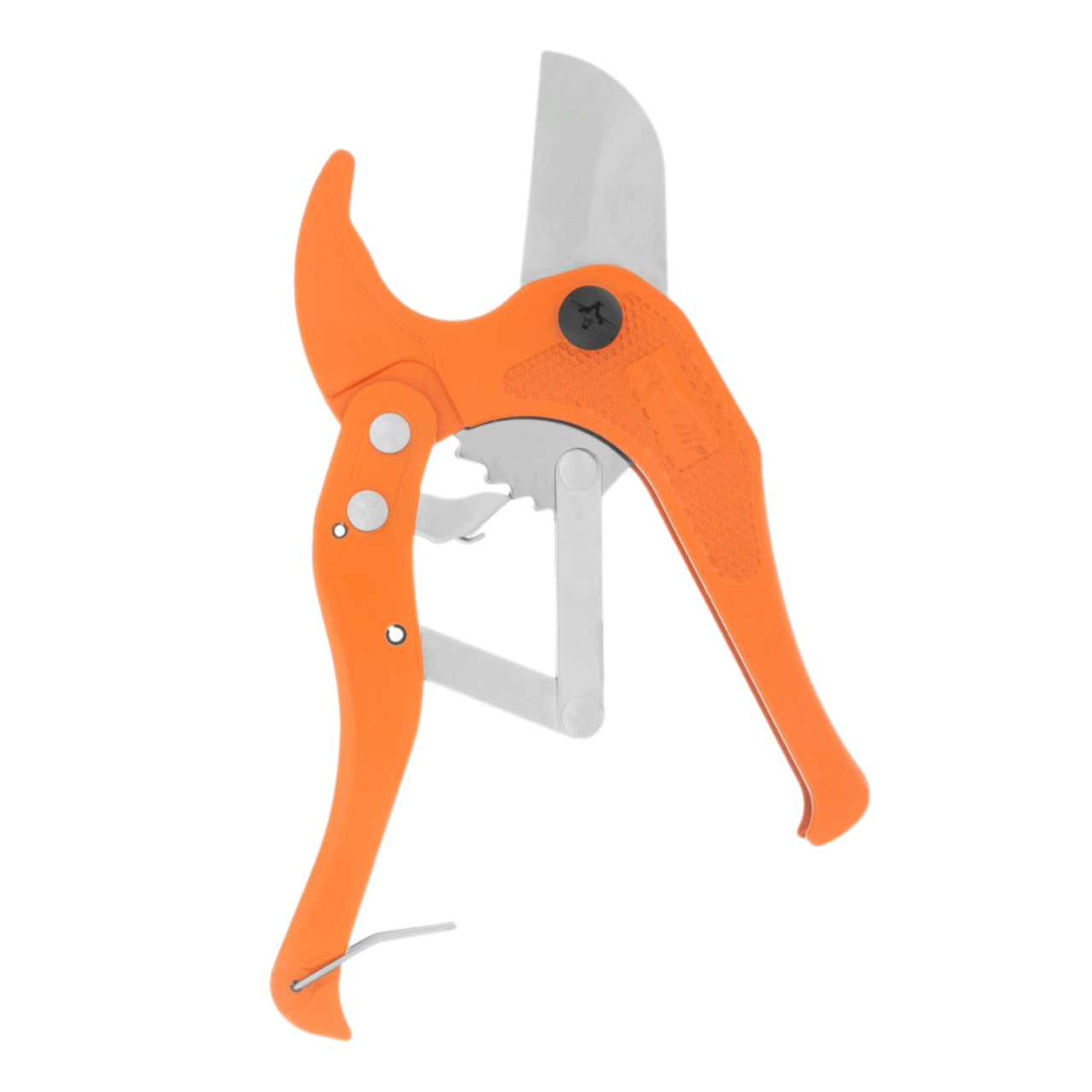 Remove-bg.ai_1749470118258