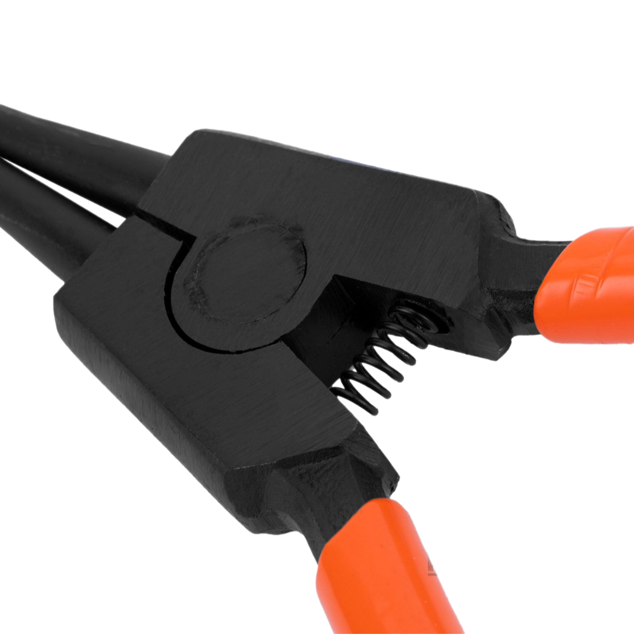 Remove-bg.ai_1749206140703