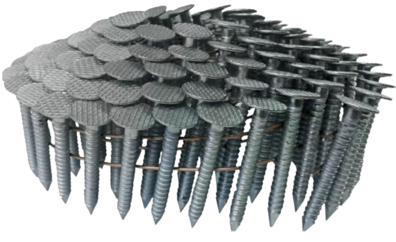 Remove-bg.ai_1755515336406